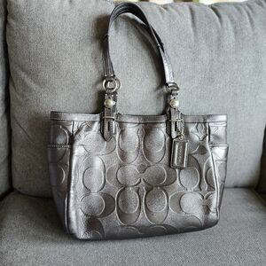Silver Coach Purse